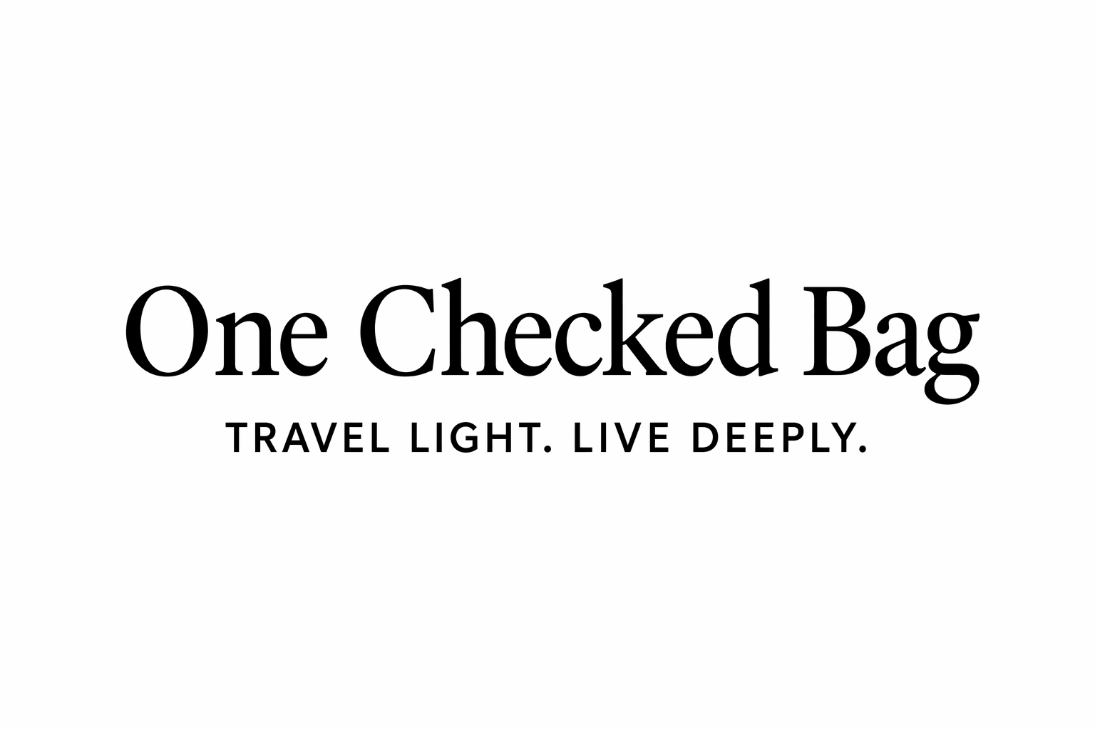 One Checked Bag