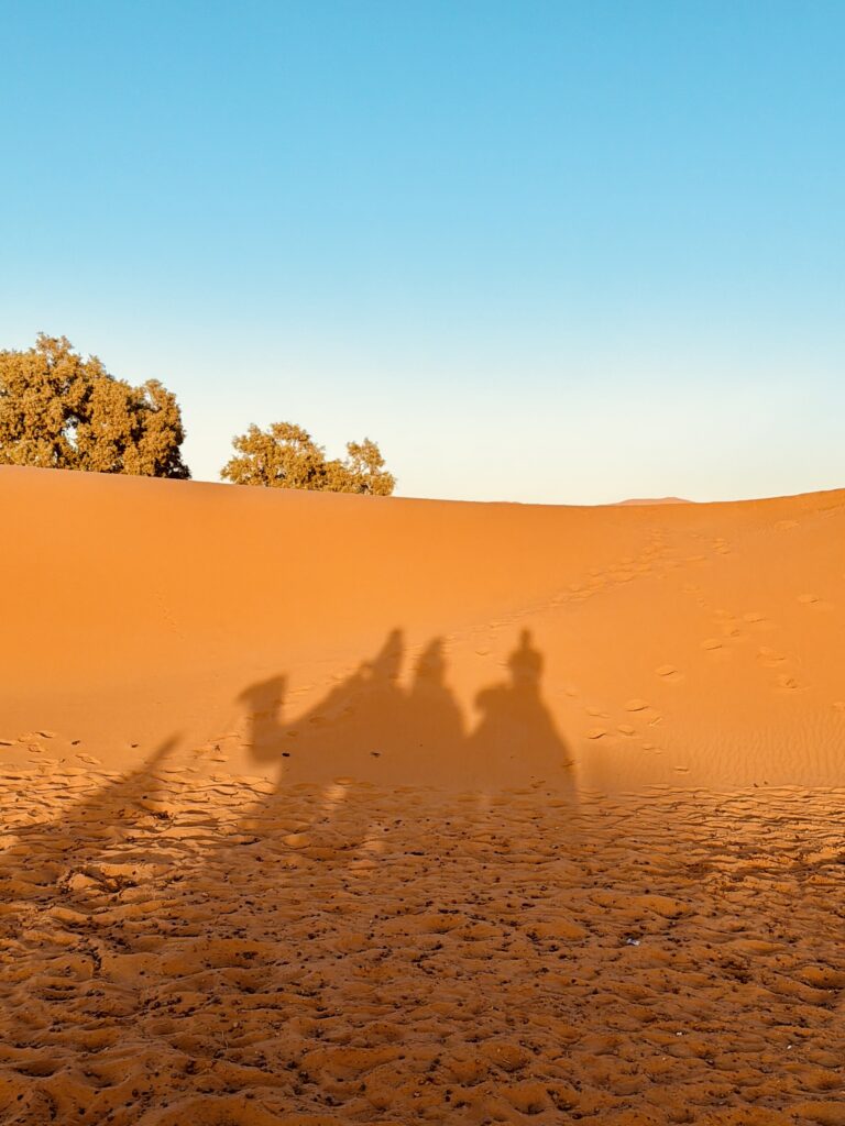 Morocco Travel: Honest Answers from Marrakech to the Sahara Shadow of us on the Camels