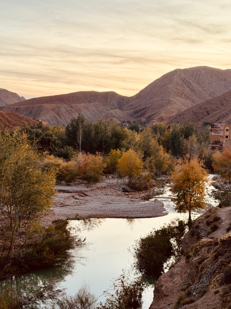 Sahara Camel Trek: Once-in-a-Lifetime Morocco Desert Experience Todra Valley near Tinghir
