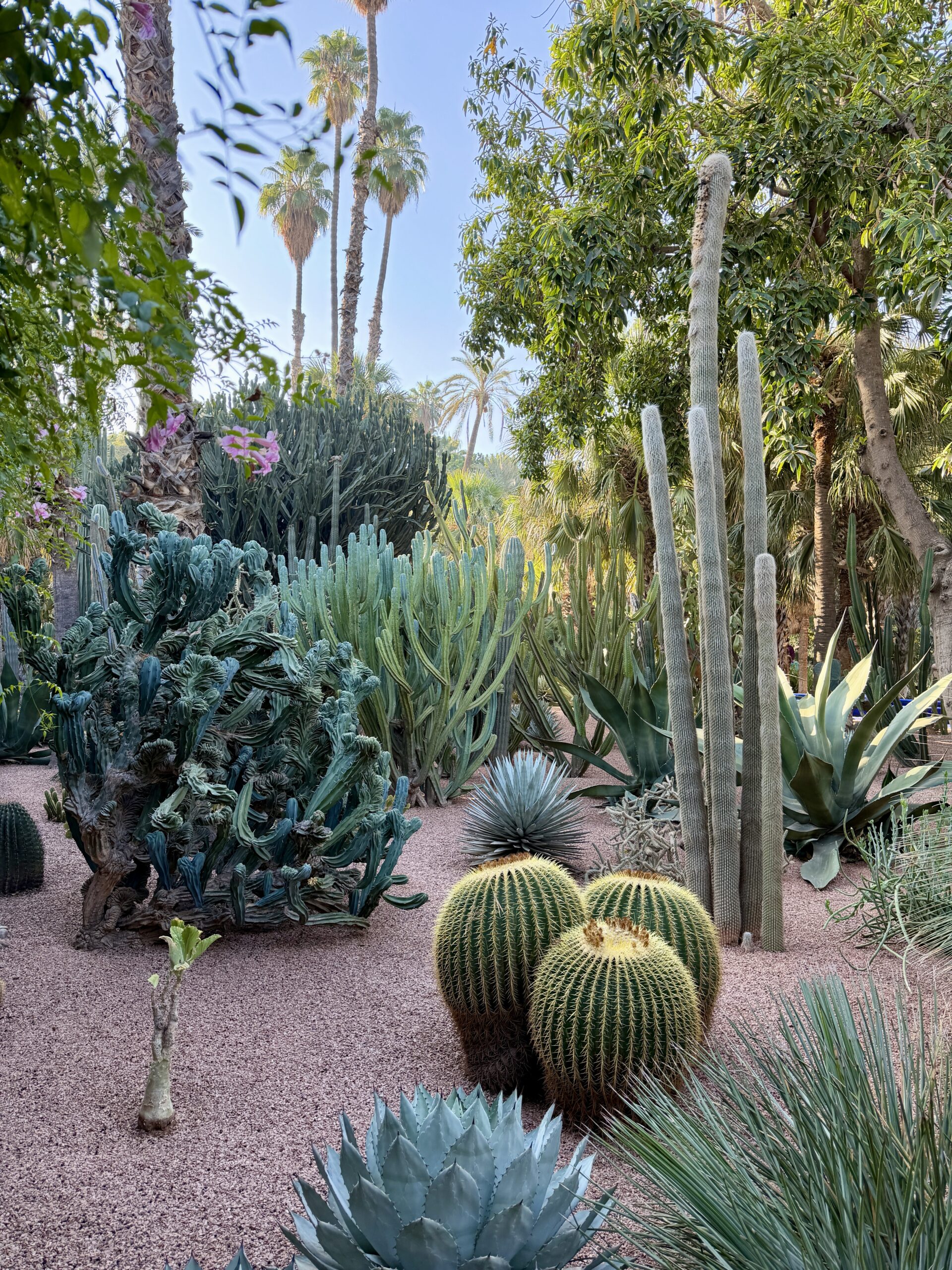 Things to do in Marrakech: Our Final Days in Morocco Le Jardin de Majorelle