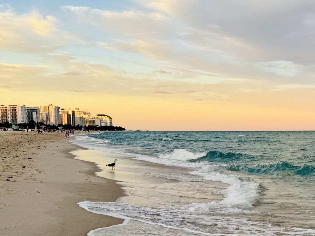 South Beach at dusk