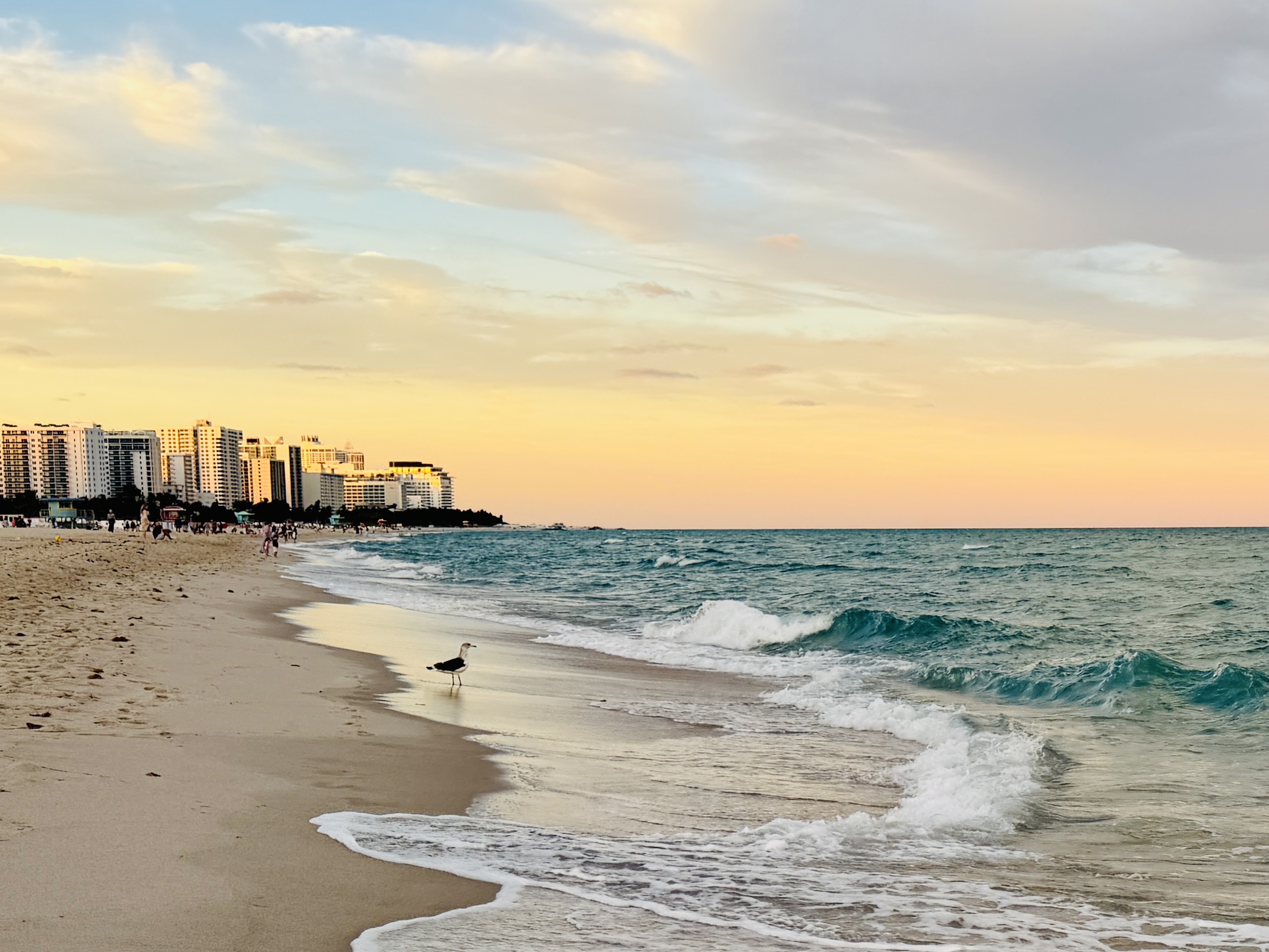 Home South Beach at dusk