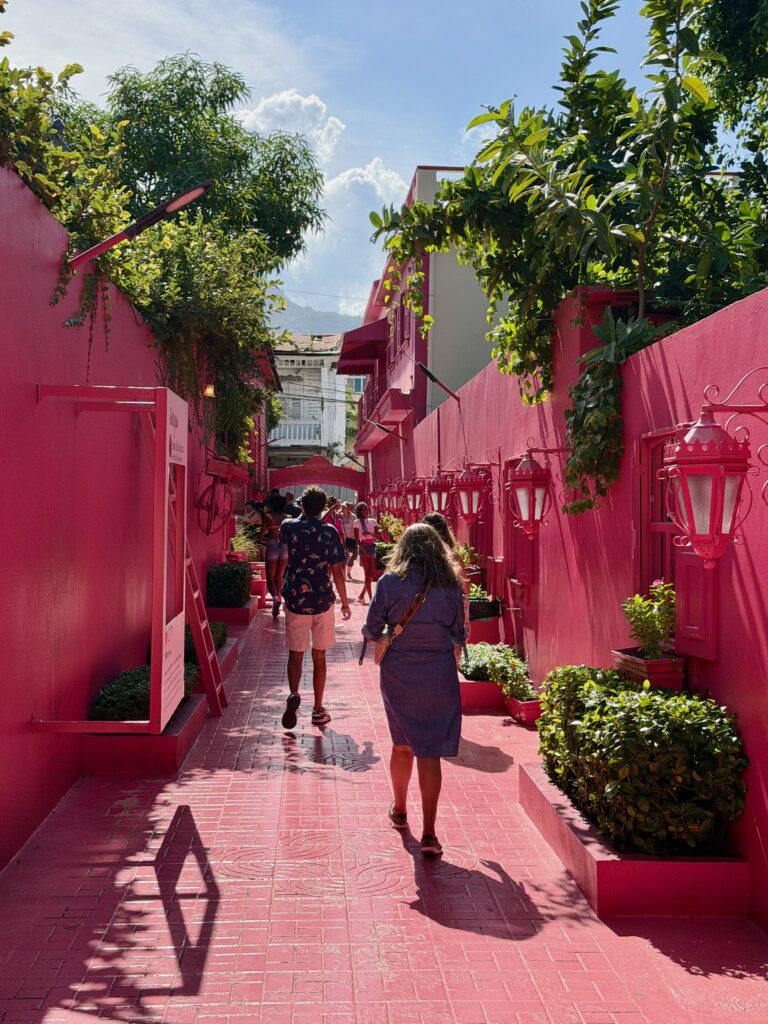 MSC World America Review: Why This Ship Exceeded My Expectations! Pink Street in Puerto Playa