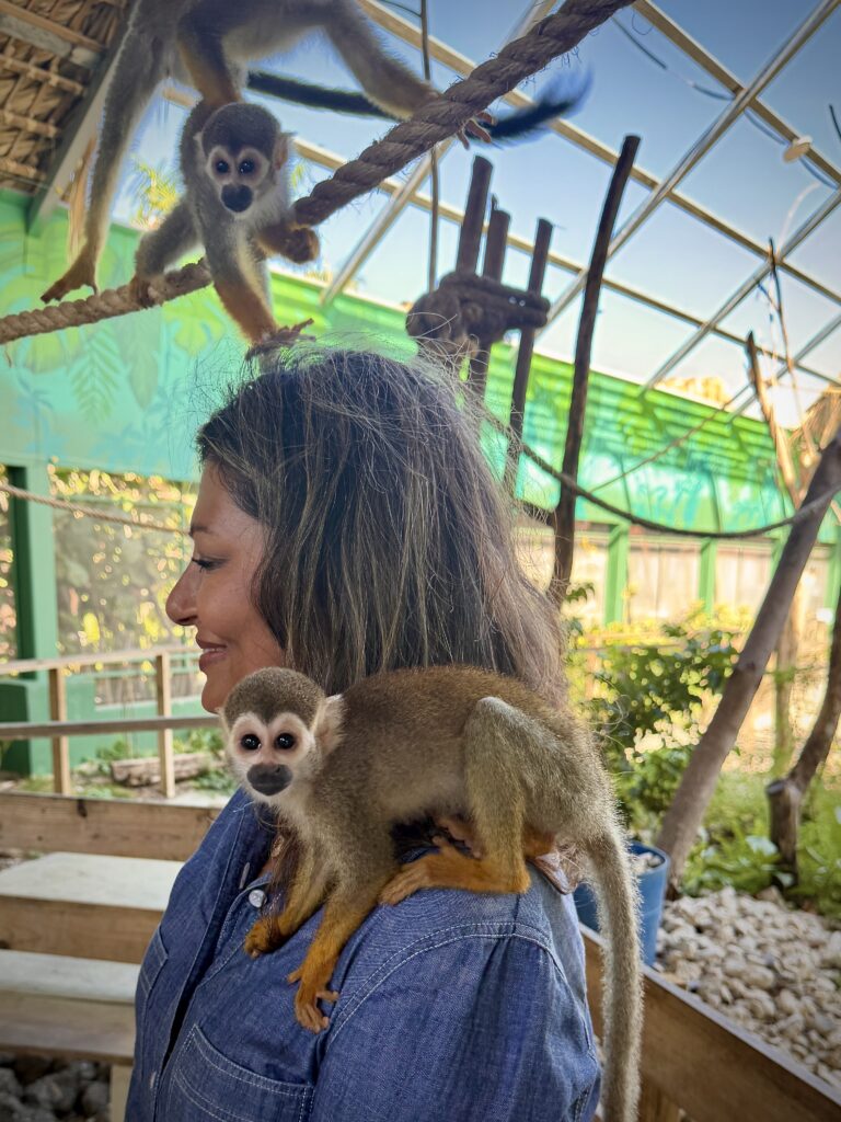 Are Cruises Worth It? Why They May Be the Perfect Vacation! Puerto Plata Monkey Sanctuary