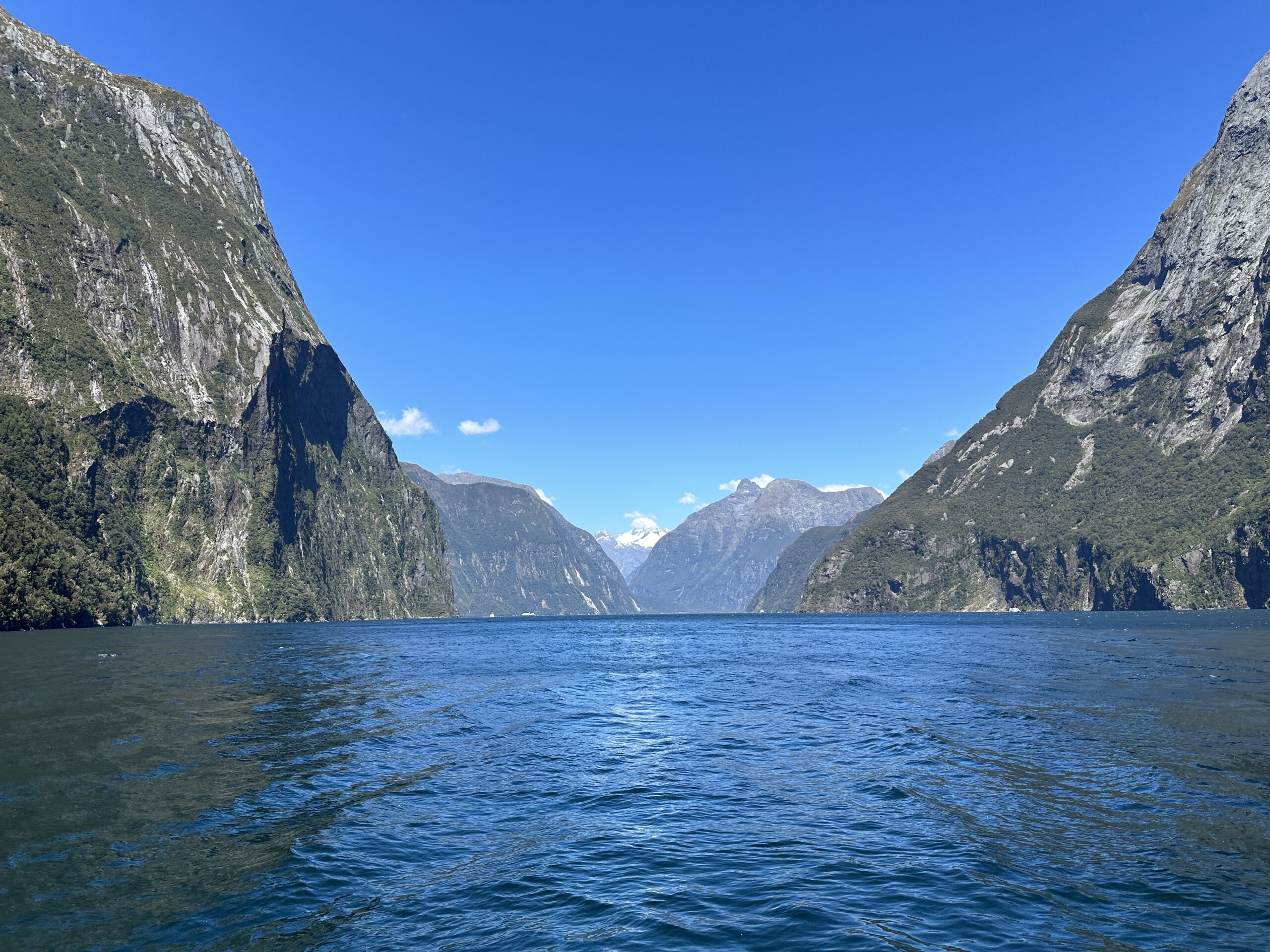 New Zealand, Queenstown, and One Perfect Moment in Milford Sound Fiords in Milford Sound