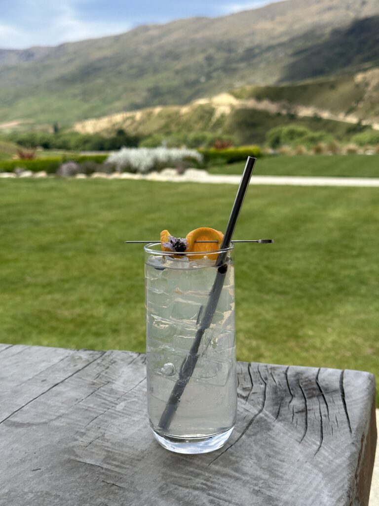 That Wanaka Tree, a Thousand Bras, and a Perfect New Zealand Evening Cocktail at The Cardrona Distillery