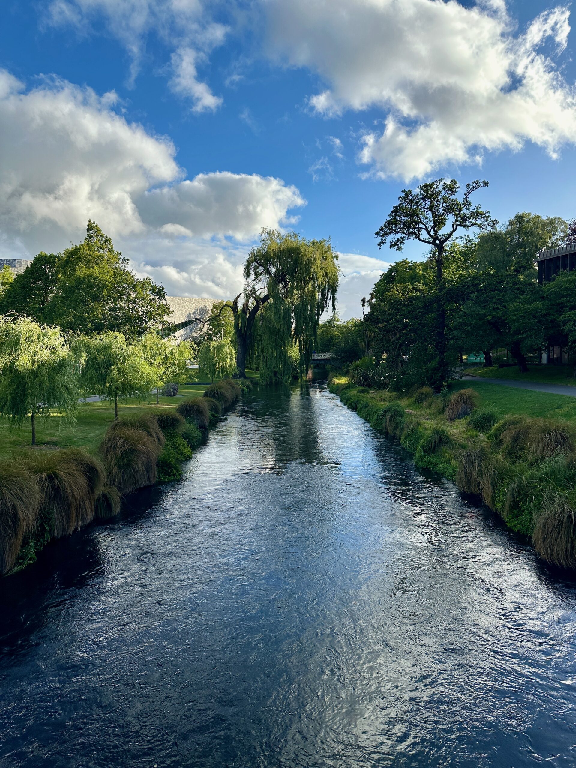 Our New Zealand Journey Continues, Days 7 and 8 Avon River in the Christchurch Botanic Gardens