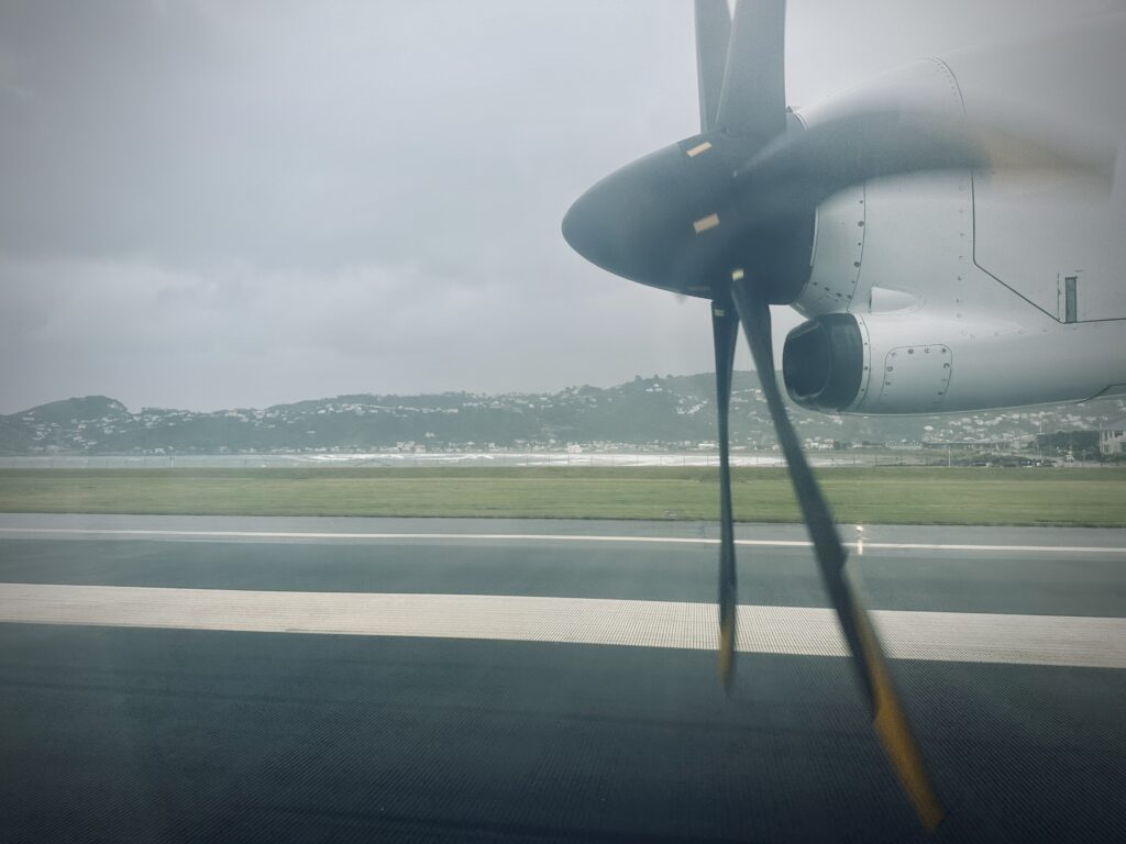 Our New Zealand Journey Continues, Days 7 and 8 Landing in Wellington, NZ