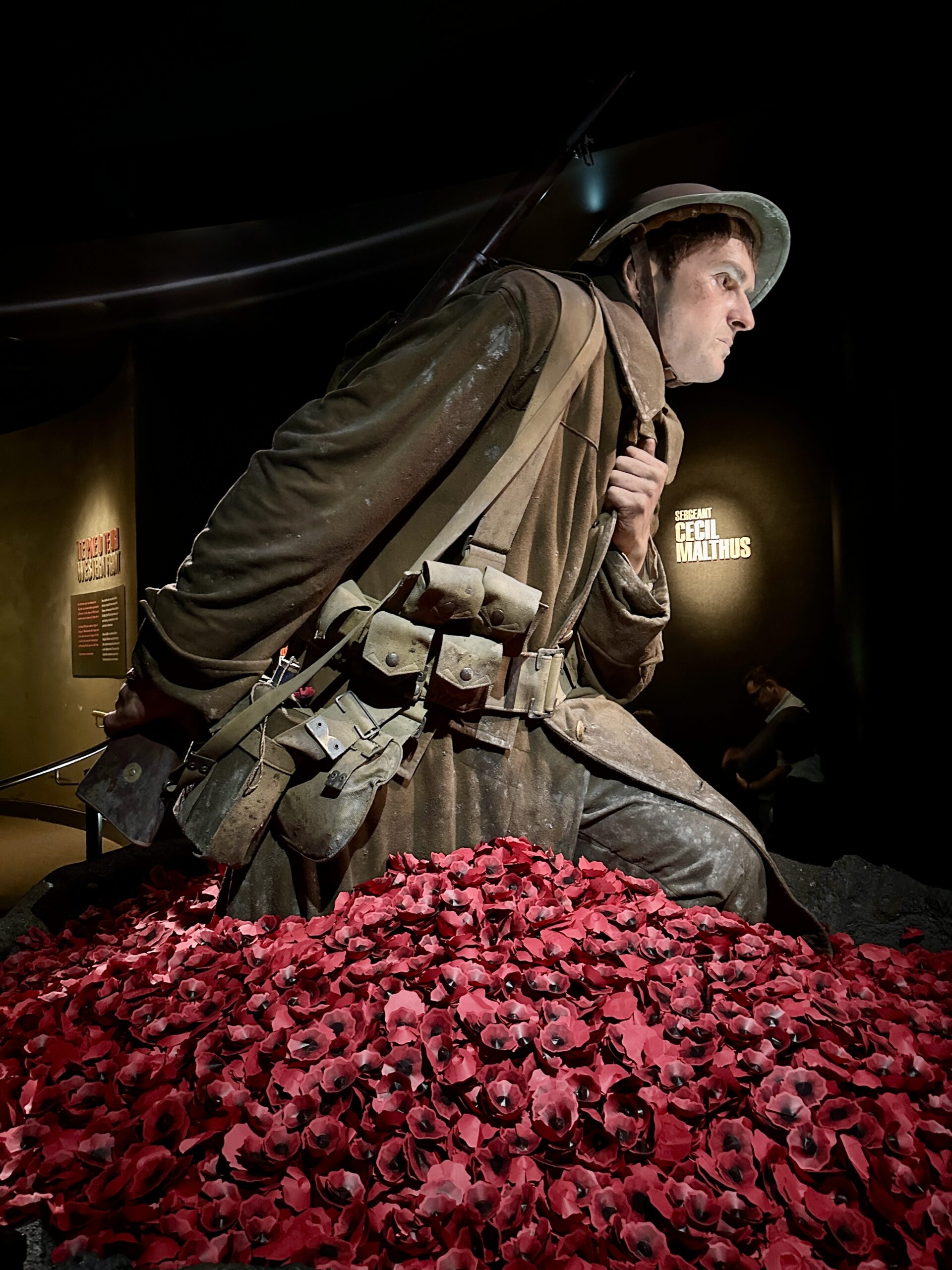 Our New Zealand Journey Continues, Days 7 and 8 Gallipoli: The Scale of Our War at Te Papa