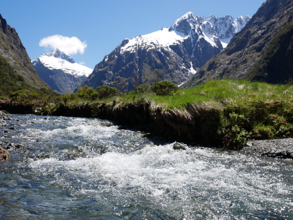 New Zealand, Queenstown, and One Perfect Moment in Milford Sound Monkey Creek