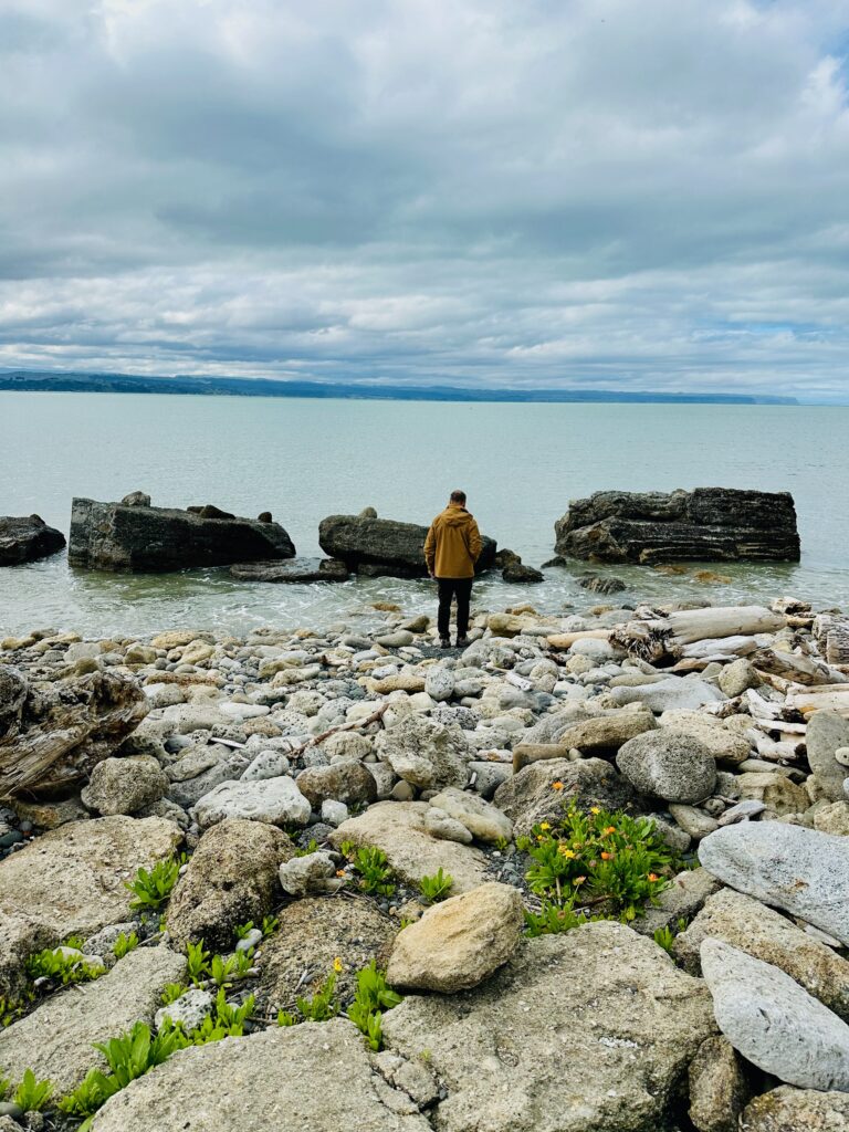 New Zealand's North Island Was Different — And That Was Okay Shoreline in Napier, NZ