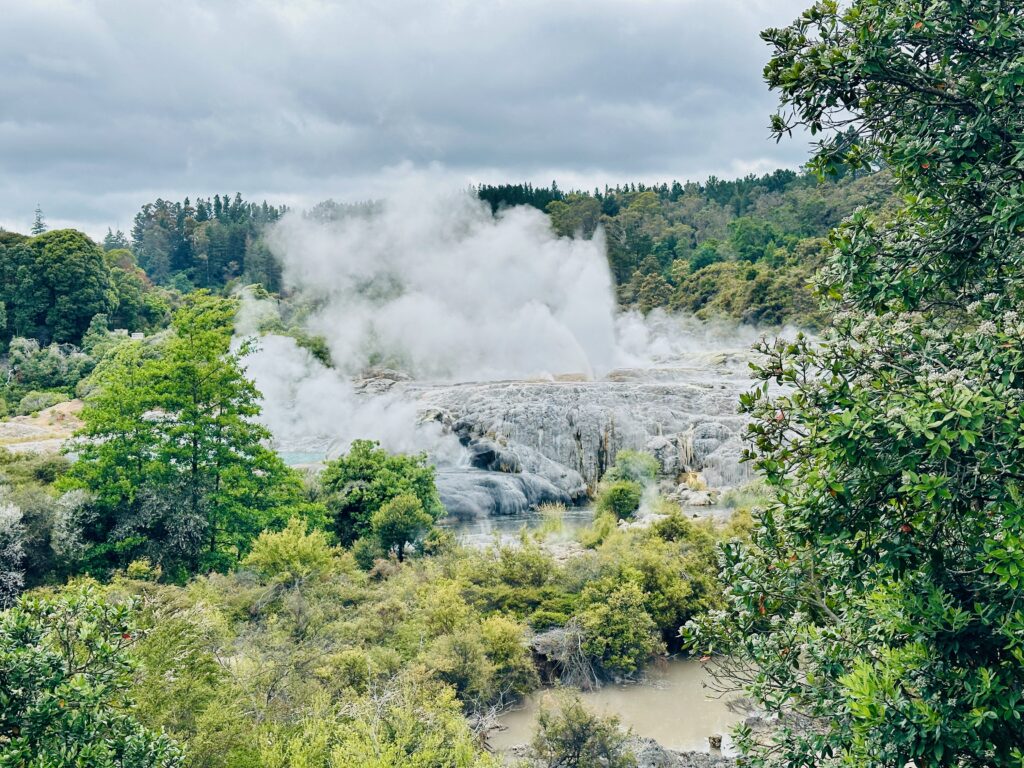 New Zealand's North Island Was Different — And That Was Okay Te Puia