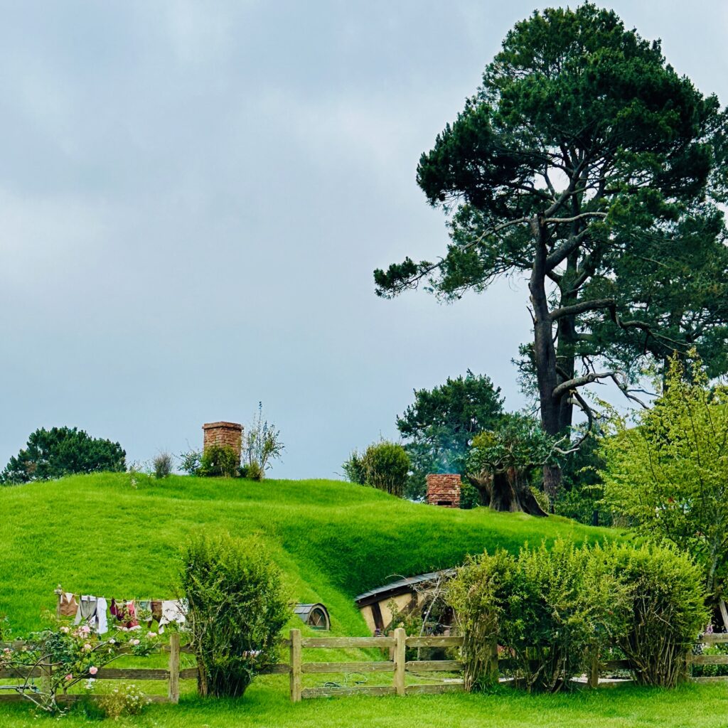 New Zealand's North Island Was Different — And That Was Okay Hillside at Hobbiton