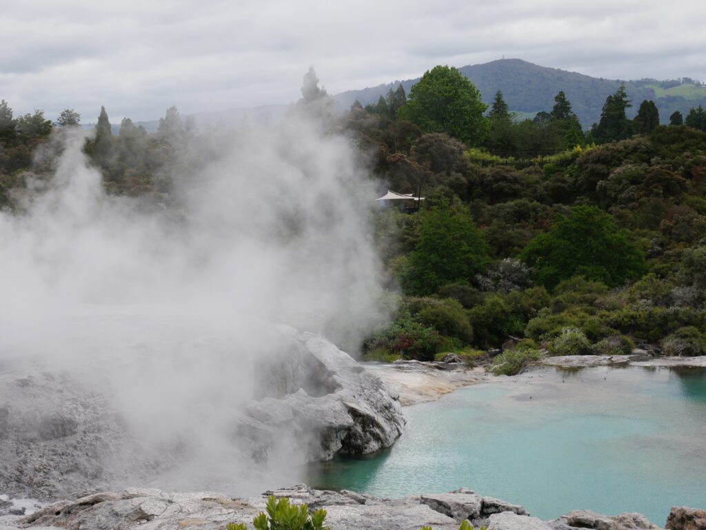 New Zealand's North Island Was Different — And That Was Okay Te Puia