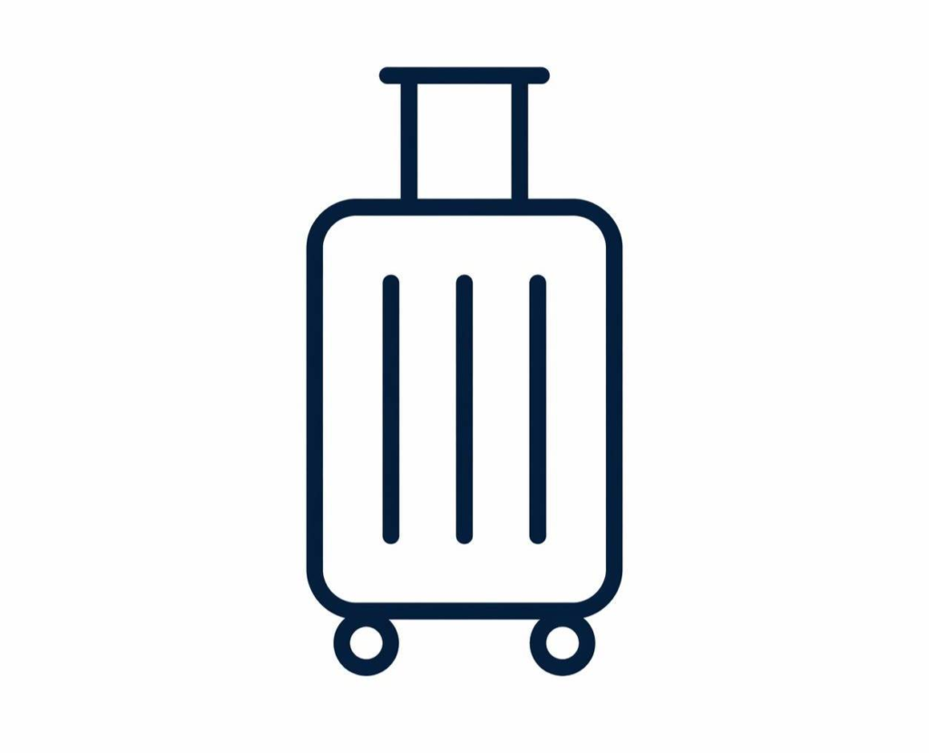One Checked Bag Favicon