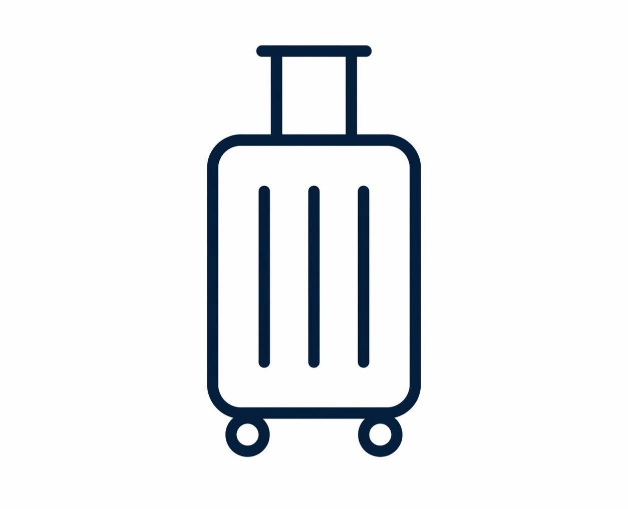 Home One Checked Bag Favicon